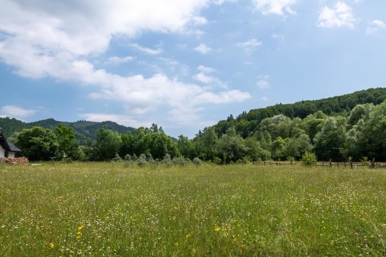 Гостевой дом Pensiunea ARC Bucovina Вама