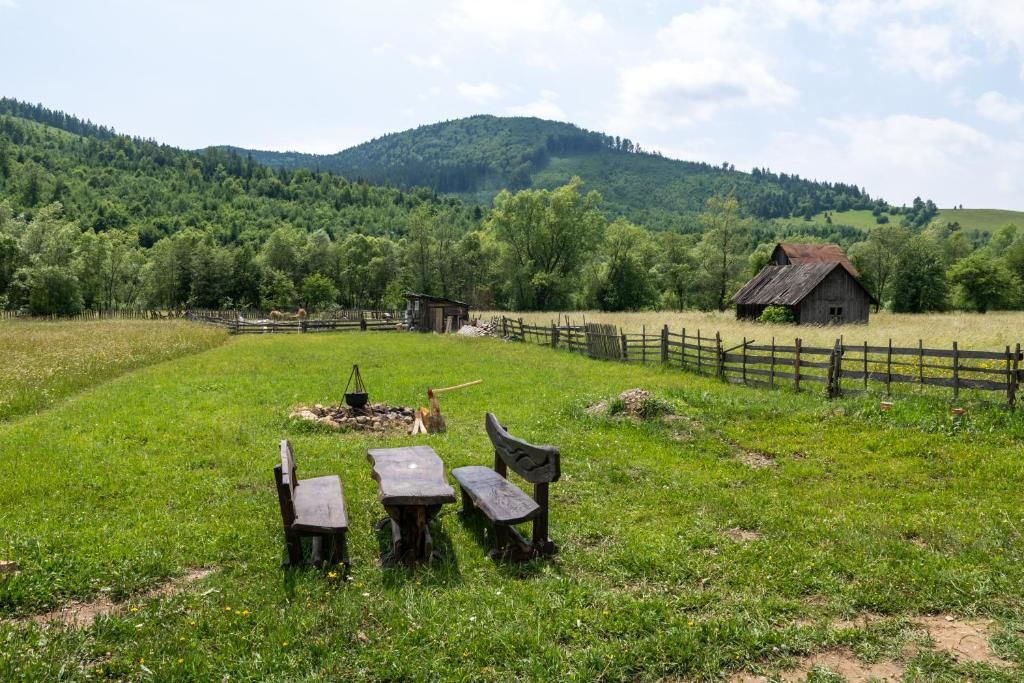 Гостевой дом Pensiunea ARC Bucovina Вама-70